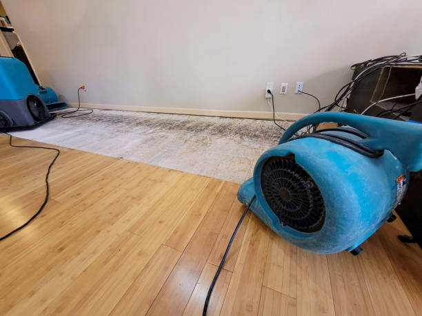 Professional Structural Drying technician working in Brookhaven, PA